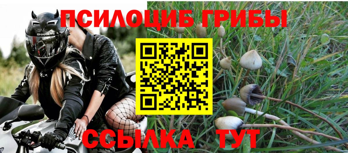 Псилоцибиновые грибы Magic Shrooms Нижнекамск