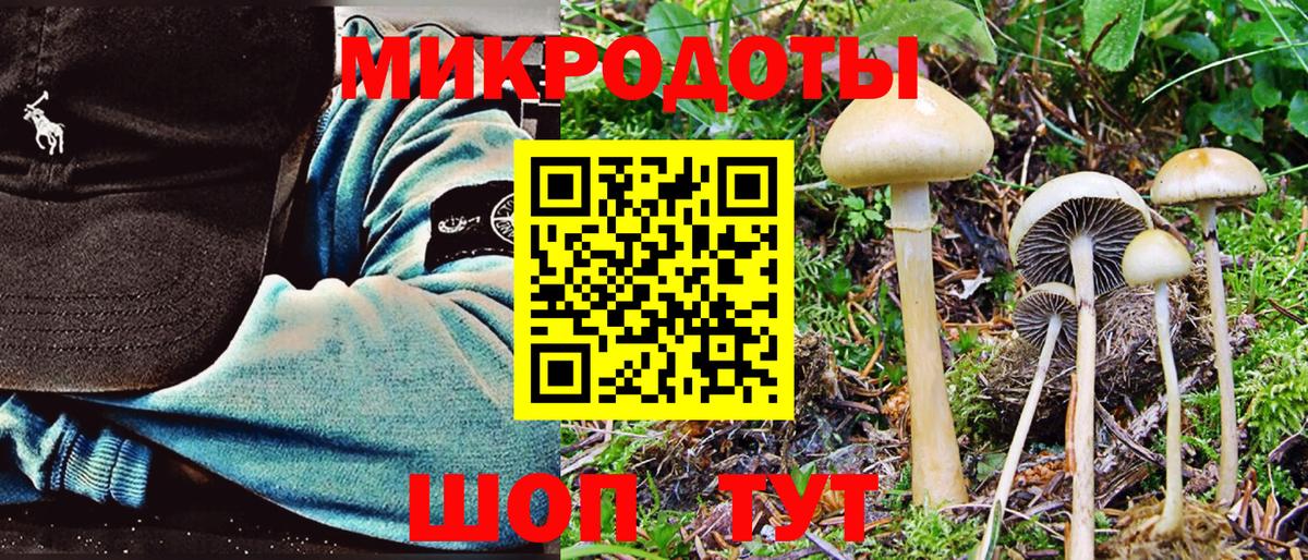 Галлюциногенные грибы MAGIC MUSHROOMS  Вход с VPN  Нижнекамск 